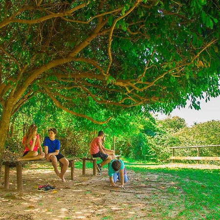 Vila Pocao - Hospedagem De Natureza Em Бротас Екстериор снимка